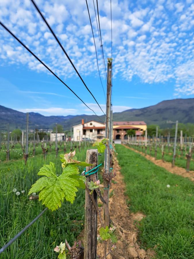 Posestvo Rouna - Winery And Apartments Vipava Buitenkant foto
