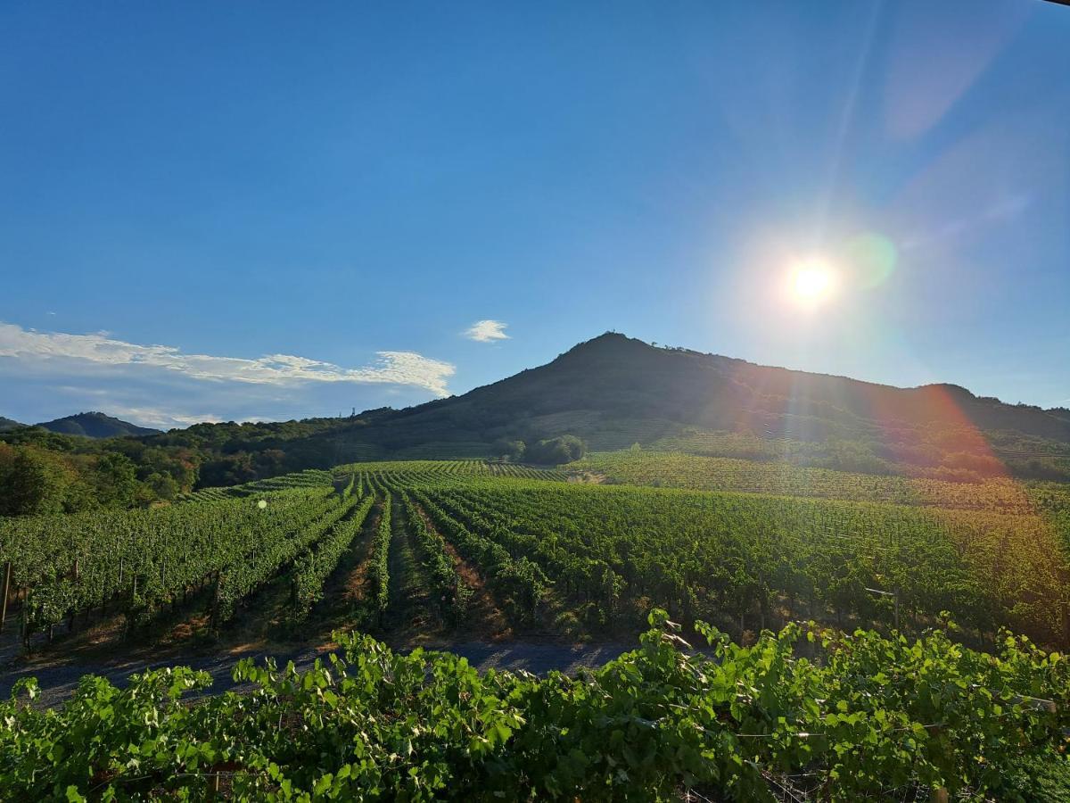 Posestvo Rouna - Winery And Apartments Vipava Buitenkant foto