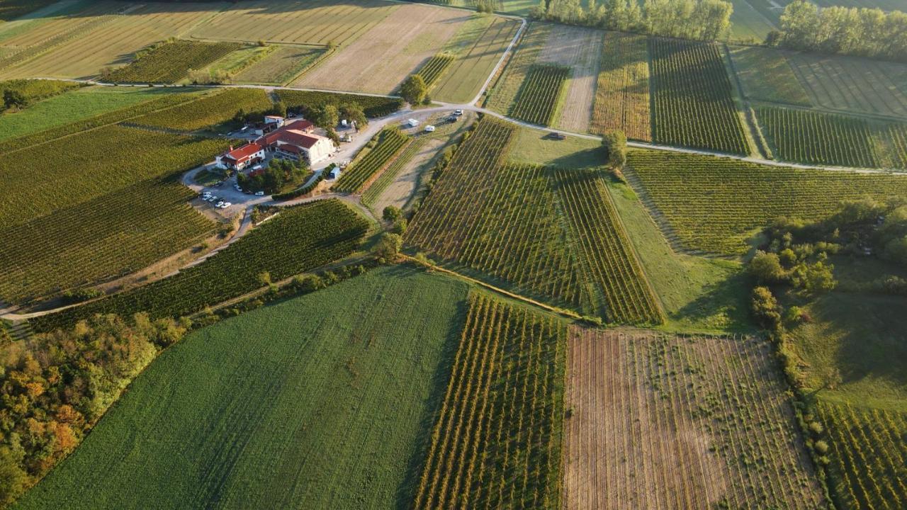 Posestvo Rouna - Winery And Apartments Vipava Buitenkant foto